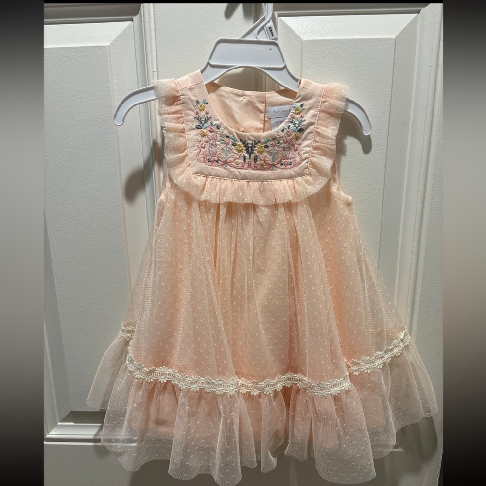 Tahari Blush Embroidered Girls Dress with Floral Detail